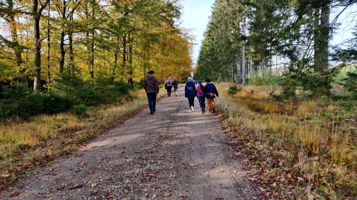 Spejder på travetur i skoven