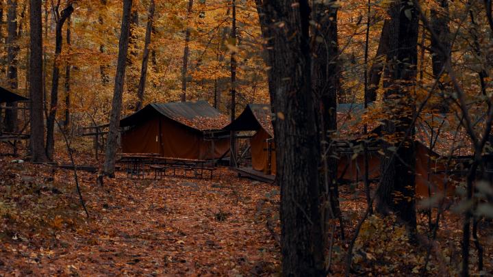 Telte i skoven 