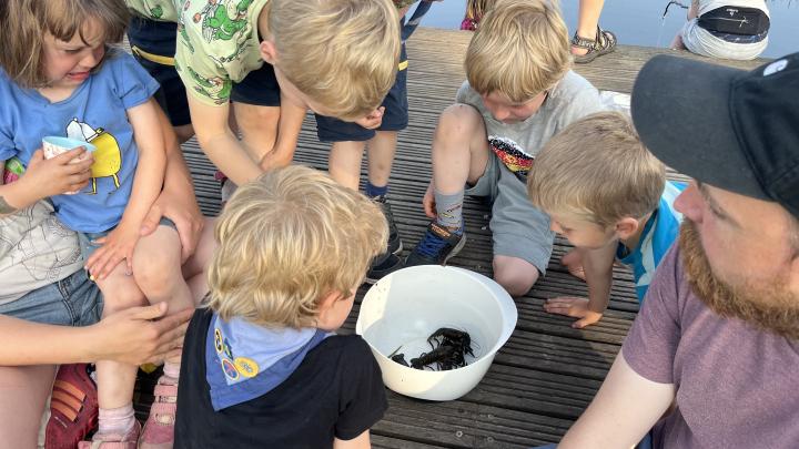 Allingå, krebs fangst 